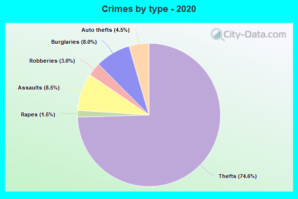 Crimes by type - 2020