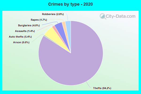 Crimes by type - 2020