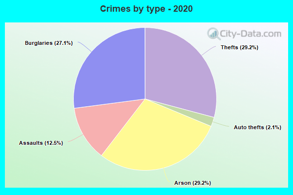 Crimes by type - 2020