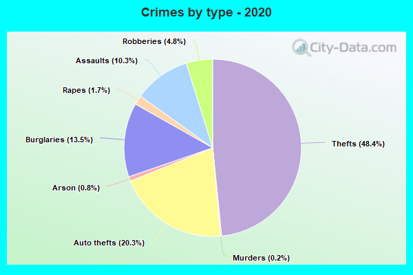 Crimes by type - 2020