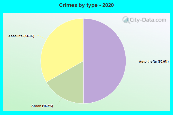 Crimes by type - 2020