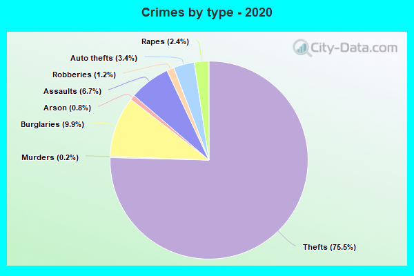 Crimes by type - 2020