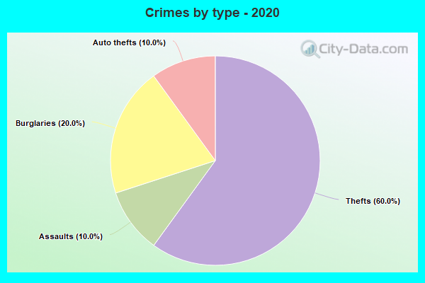 Crimes by type - 2020