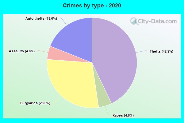 Crimes by type - 2020