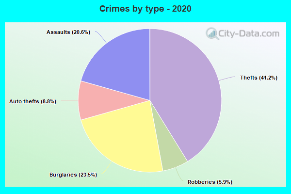 Crimes by type - 2020