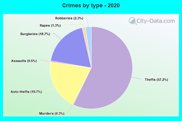 Crimes by type - 2020