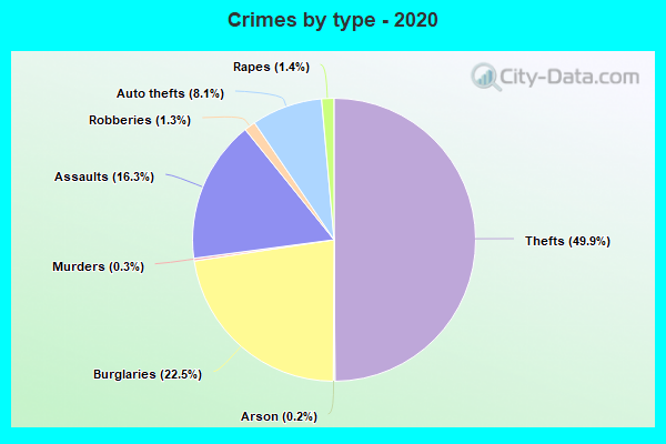 Crimes by type - 2020