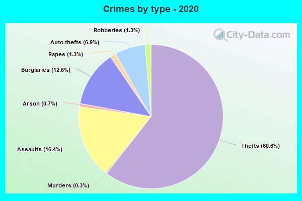 Crimes by type - 2020