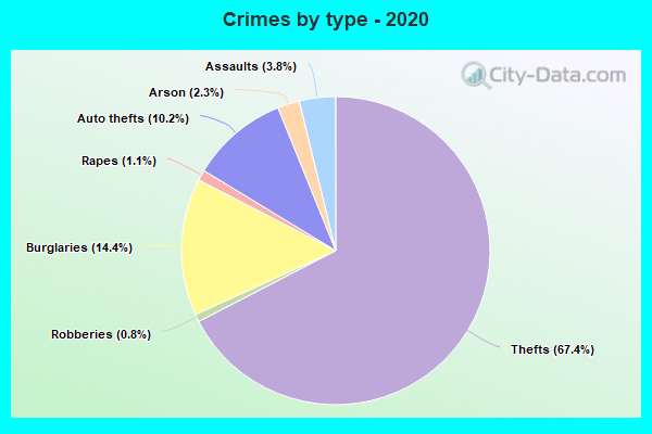 Crimes by type - 2020