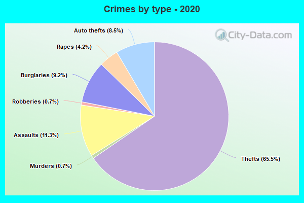 Crimes by type - 2020