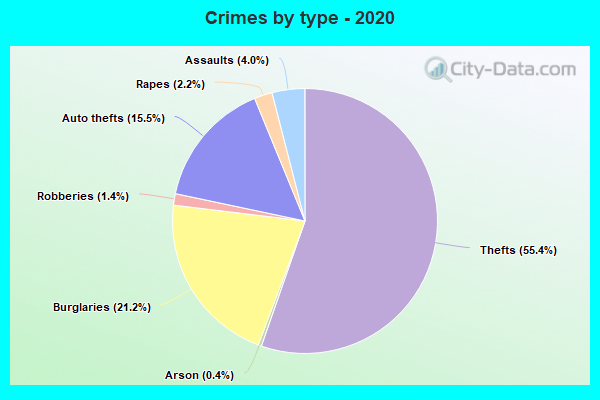 Crimes by type - 2020