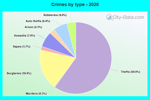 Crimes by type - 2020