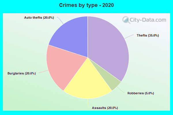 Crimes by type - 2020