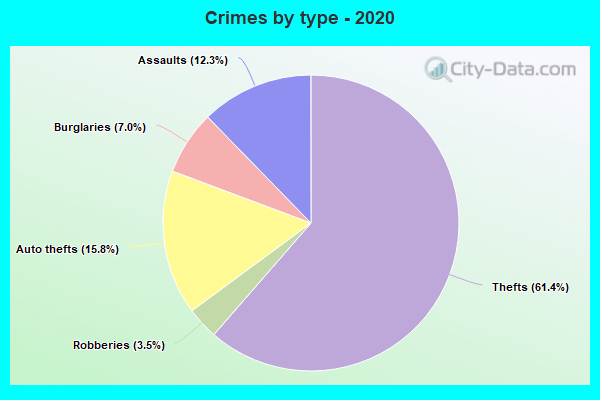 Crimes by type - 2020