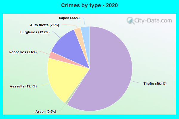 Crimes by type - 2020