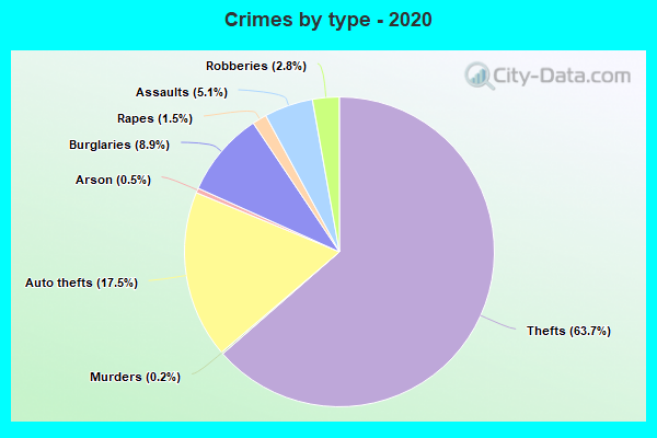 Crimes by type - 2020