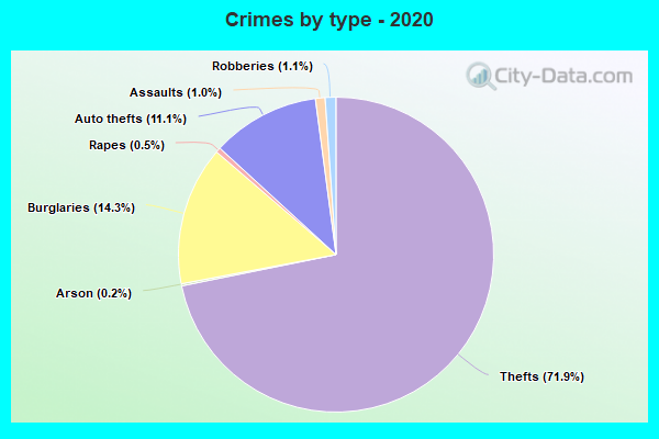 Crimes by type - 2020