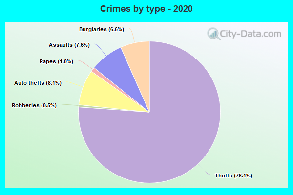 Crimes by type - 2020