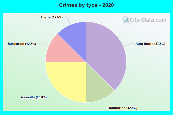 Crimes by type - 2020