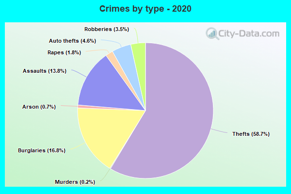 Crimes by type - 2020