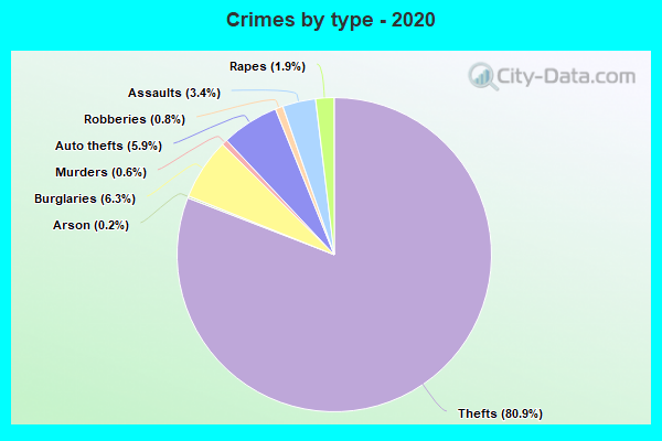 Crimes by type - 2020