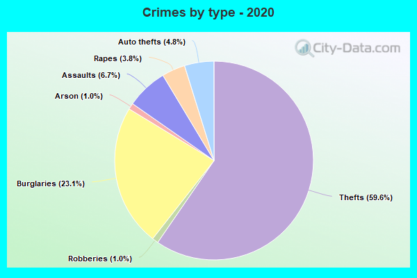 Crimes by type - 2020