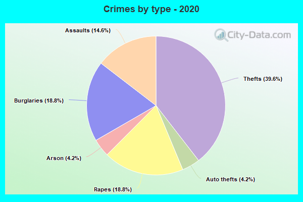 Crimes by type - 2020