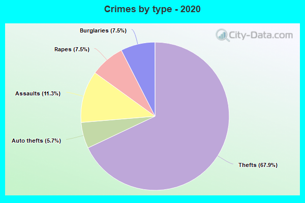 Crimes by type - 2020