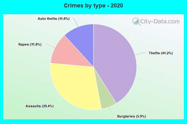 Crimes by type - 2020