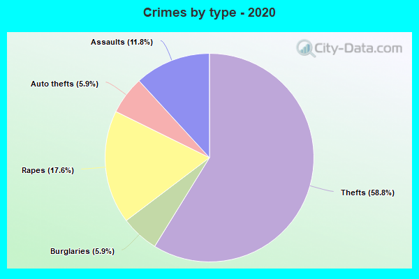 Crimes by type - 2020