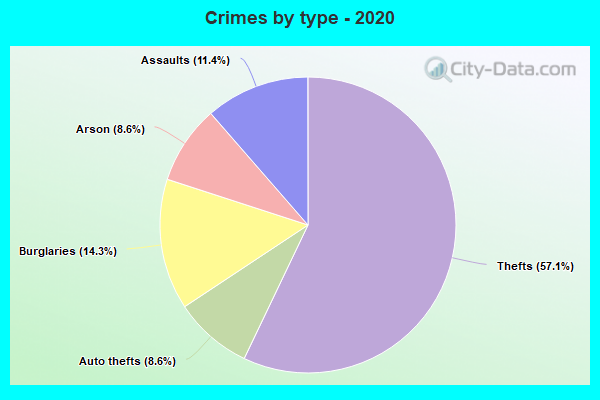 Crimes by type - 2020