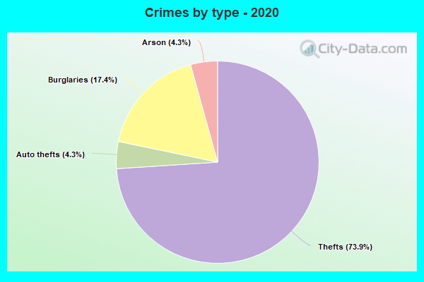 Crimes by type - 2020