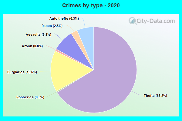 Crimes by type - 2020