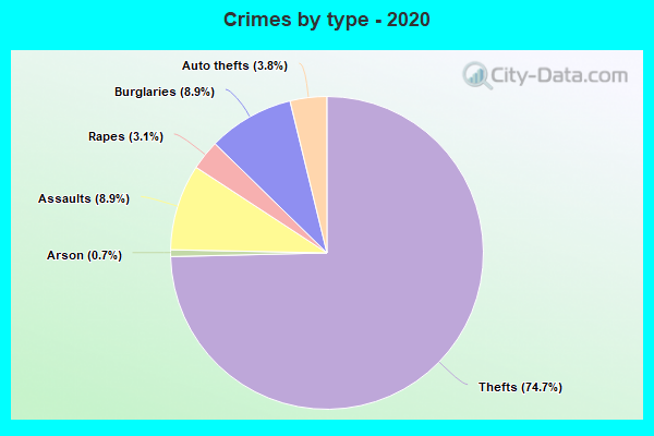 Crimes by type - 2020