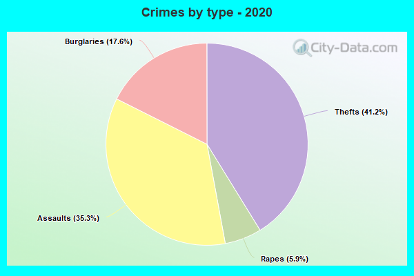 Crimes by type - 2020