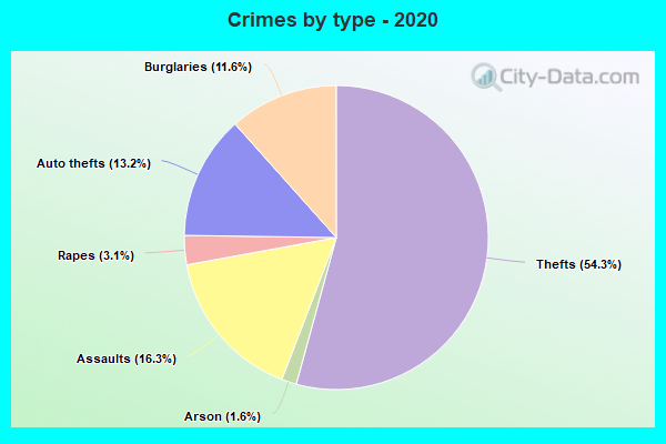 Crimes by type - 2020