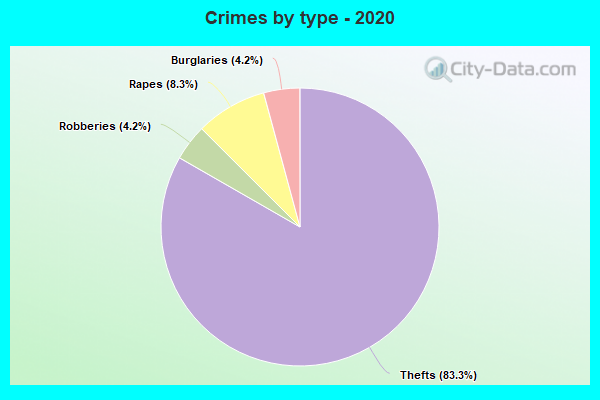 Crimes by type - 2020