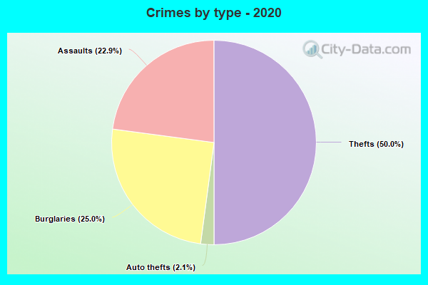 Crimes by type - 2020