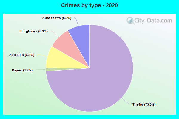 Crimes by type - 2020