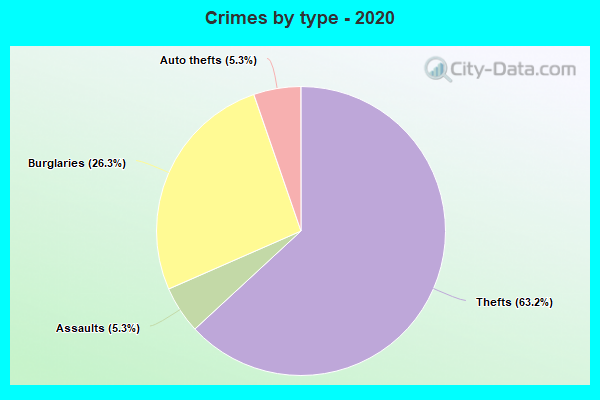 Crimes by type - 2020