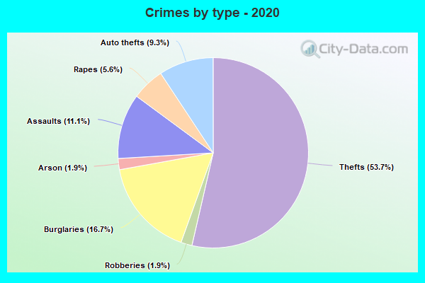 Crimes by type - 2020