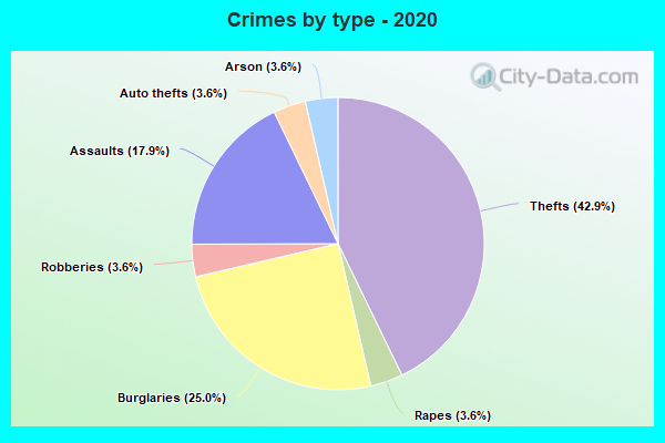 Crimes by type - 2020