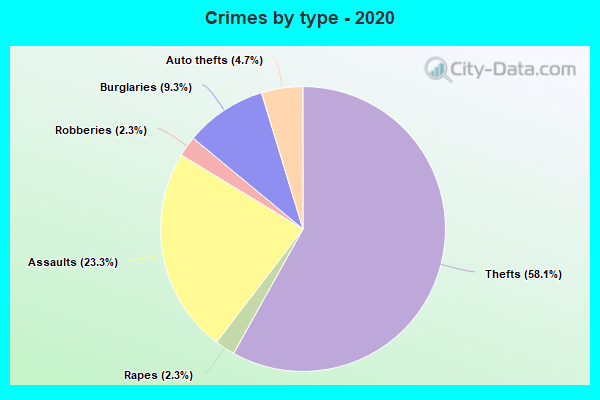 Crimes by type - 2020