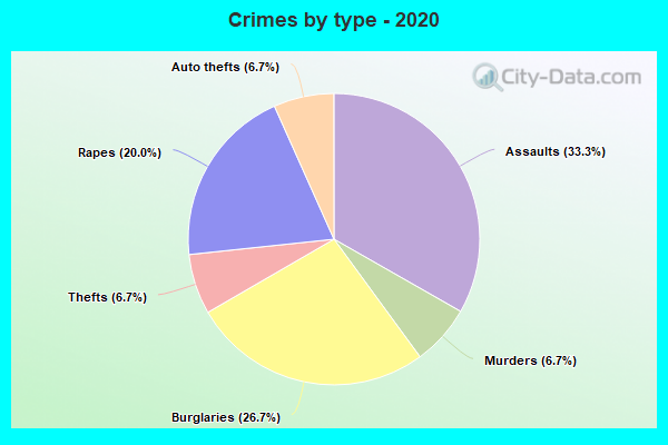 Crimes by type - 2020