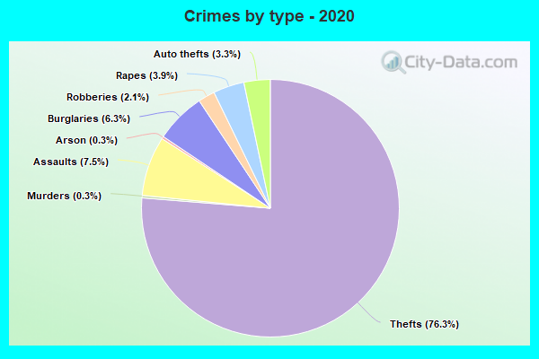 Crimes by type - 2020