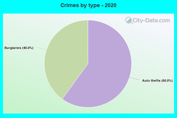 Crimes by type - 2020