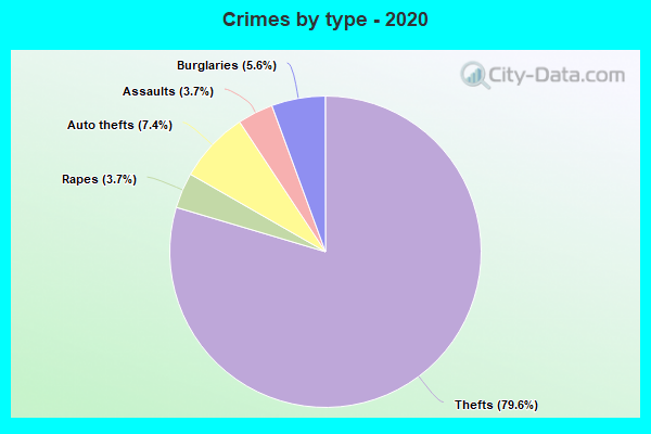 Crimes by type - 2020