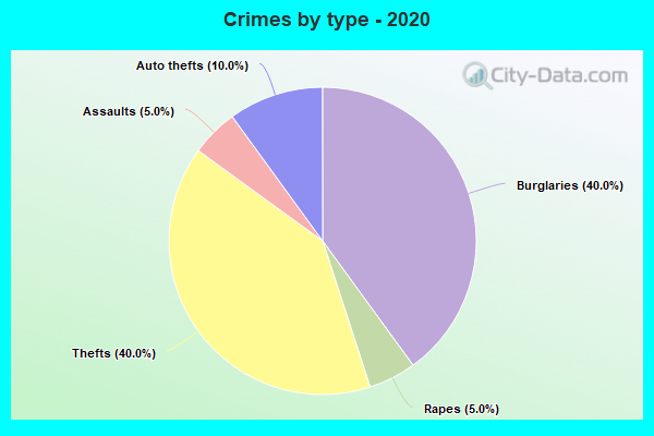 Crimes by type - 2020