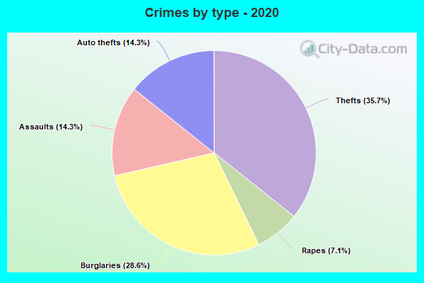 Crimes by type - 2020