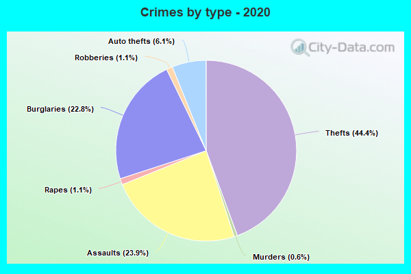 Crimes by type - 2020